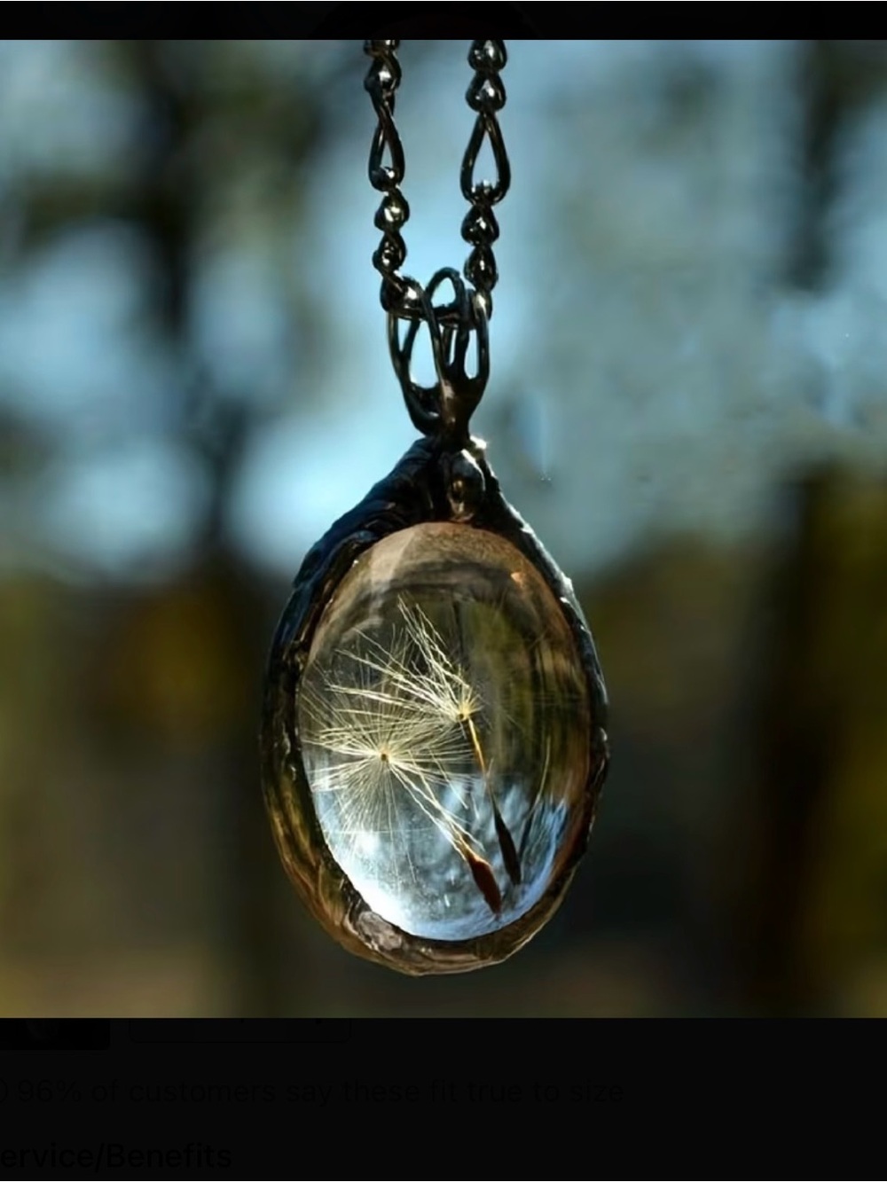 ⭐️ Black Dandelion Pendant Necklace in Clear Glass